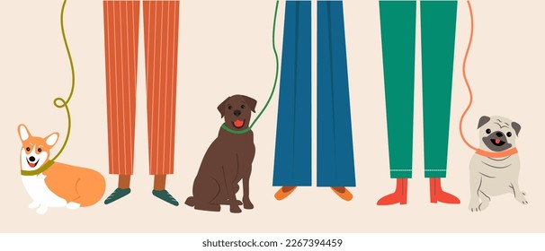 Persons with cute Dogs. Happy pet owner. Adorable Labrador Retriever,  Pug and Welsh Corgi. Flat vector illustration.