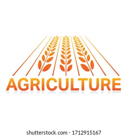 perspective spike symbol and the word agriculture. field and agriculture concept