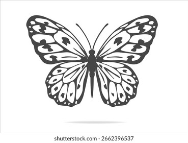 pertcfect butterfly wing design hand drawn