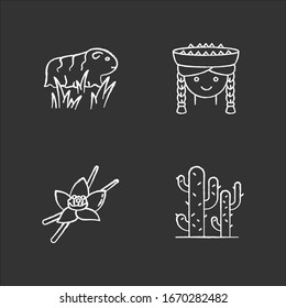 Peru chalk white icons set on black background. Incas country features. Guinea pig, peruvian girl, vanilla, cactuses. Traveling in South America. Isolated vector chalkboard illustrations