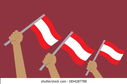 Peru-Demonstrationen. 
Flagge in der Hand 