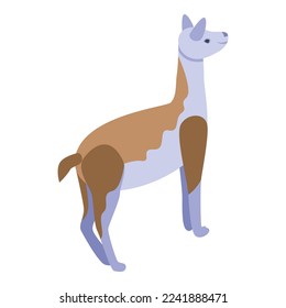 Peru lama icon isometric vector. Cute animal. Cool baby