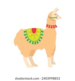 peru llama illustration vector isolated