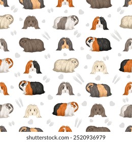 Peruvian Guinea pig, Angora Cavy seamless pattern. All coat colors cavies set. Small Pet Rodents. Vector illustration