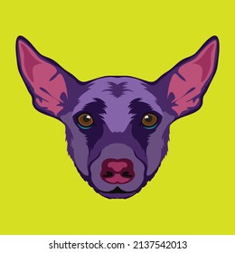 Peruvian hairless dog face vector illustration in decorative style, perfect for tshirt style and mascot logo 