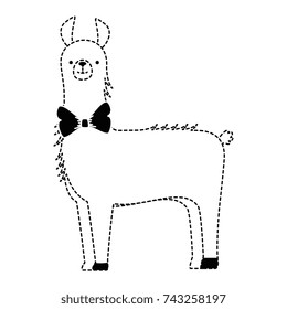 peruvian llama isolated icon