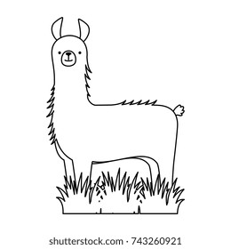 peruvian llama isolated icon