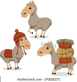 Peruvian Llama Lama with Knitted Clothes carrying luggage, vector illustration cartoon. 