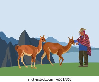 Peruvian man in national dress and guanacos against the background of mountains . Vector illustration