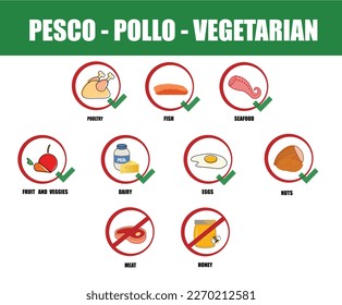 Pesco - pollo - vegetarian, Types of diets and nutrition plans from weight loss collection outline set. Eating model for wellness and health care vector illustration