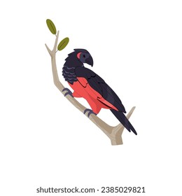 Pesquet, dracula parrot sitting on tree branch. Exotic bird with black and red feathers. Wild animal, rainforest inhabinant, pet. Tropical fauna. Flat isolated vector illustration on white background.