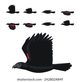 Pesquet's Parrot Dracula Bird Flying Animation Sequence Cartoon Vector