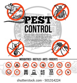 Pest control infographics with icons of insects rat and means of protection in sketch style isolated vector illustration