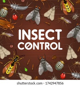 Pest control and insect disinsection. Mosquito, cockroach, ant and spider, bedbug, fly, tick and grain moth, wasp, aphid, colorado beetle, ladybug and earwig vector frame border on wooden background