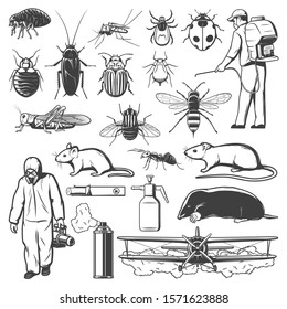 Pest control and insects, insecticide, rodent and exterminators. Mosquito, cockroach, ant and fly, pesticide spray, rat and mite or tick, spider, termite and mouse, flea, mole, grasshopper