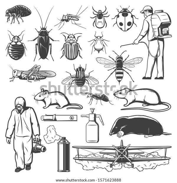 Pest control and insects, insecticide, rodent
and exterminators. Mosquito, cockroach, ant and fly, pesticide
spray, rat and mite or tick, spider, termite and mouse, flea, mole,
grasshopper