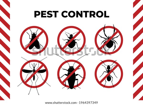 Pest Control Leaflet Design Horizontal Orientation Stock Vector ...