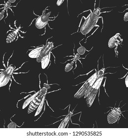 Pest control seamless pattern with hand drawn insects on dark background. Vector illustration