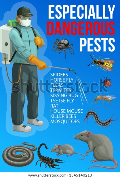 Pest control service vector design of insect and
rodent chemical disinfection. Exterminator with protective suit and
pressure sprayer, bugs, mosquito and rat, house mouse, tick and
fly, snake, spider