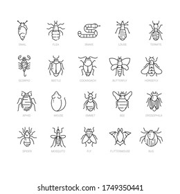 Pest control. Set of icons in a linear style. Cockroach, rat, fly, mosquito, snake, louse, tick. Can be used as a design template for printing, web sites, posters.