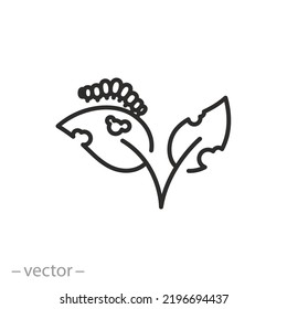 icono de plaga, hoja comiendo oruga, gusano en el jardín, símbolo de línea delgada sobre fondo blanco - ilustración del vector de trazo editable