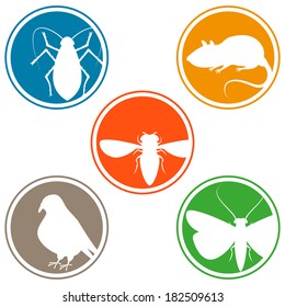 Pest icon collection