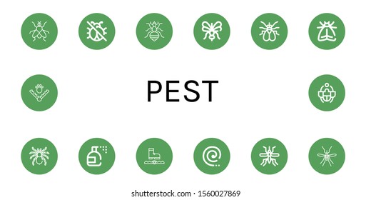 pest icon set. Collection of Fly, No insects, Louse, Mosquito, Moth, Tarantula, Insecticide, Trap, Mosquito coil, Beetle icons