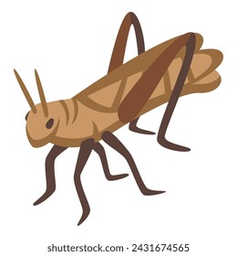 Pest insect icon isometric vector. Brown grasshopper. Adorable creature