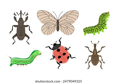 Pest insects set. Small weevil beetle, ladybug, hawthorn butterfly, caterpillar. View from above closeup. Problem in agriculture. Vector illustration isolated on white background