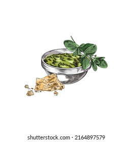 Salsa de pesto con albahaca y queso parmesano, dibujo ilustrativo vectorial aislado en fondo blanco. Salsa italiana para pasta o lasaña. Dibujamos mano en salsa en un tazón pequeño.