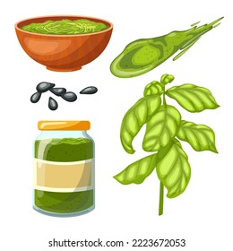 pesto sauce basil set cartoon. green pasta, food italian, cheese vegetarian, dish gourmet, healthy parmesan, homemade pesto sauce basil vector illustration