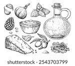 Pesto sauce ingredients vector drawing. Traditional italian food sketch. Basil, garlic, pine nuts, parmesan cheese, olive oil, arugula hand drawn illustration. Engraved isolated pasta salad dressing