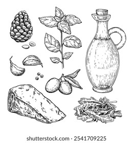 Pesto sauce ingredients vector drawing. Traditional italian food  sketch. Basil, garlic, pine nuts, parmesan cheese, olive oil, arugula hand drawn illustration set. Engraved isolated objects. 