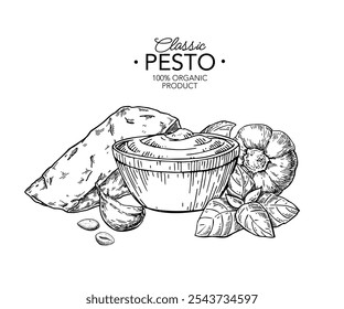 Ingredientes de la salsa de pesto Vector de dibujo. Pasta tradicional italiana y aderezo para ensaladas. Boceto de comida dibujado a mano ilustración. Objetos aislados grabados. Concepto de diseño de embalaje, Anuncio, Plantilla, etiqueta