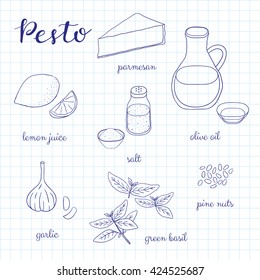 Pesto sauce outline ingredients on graph paper background. Parmesan, lemon, salt, olive oil, garlic, basil, pine nuts. Vector illustration in hand drawn style.