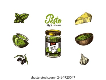 Pesto sauce set. Basil leaves, garlic, pine nuts, hard parmesan cheese, olive oil, pesto alla genovese. Spicy condiment, glass bottle, wooden spoon or dish, bunch of seeds. Engraved hand drawn sketch.