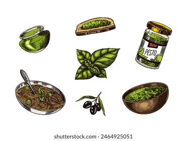 Pesto sauce set. Basil leaves, garlic, pine nuts, hard parmesan cheese, olive oil, pesto alla genovese. Spicy condiment, glass bottle, wooden spoon or dish, bunch of seeds. Engraved hand drawn sketch.