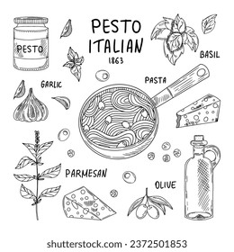  Pesto sauce set. Sketch basil leaves, garlic, hard parmesan cheese, olive oil, pesto. Spicy condiment, glass bottle, bunch of seeds.