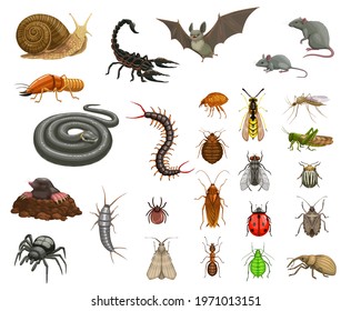Pests insects disinfection, animals deratization. Cartoon vector snail, scorpion and bat, mouse, rat and termite, snake, centipede and flea, bedbug, fly and wasp, mosquito, locust and colorado beetle