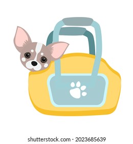 Pet accessories. Carrier for dog. Pet shop. Happy pets spend time with their owners. Carrying chihuahua