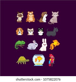 Pet accessories set. Cat, dog, aquarium fish, parrot and turtle isolated vector illustration pixel art 80s style icons. Logo design for pet shops, mobile applications. Old school computer graphic.