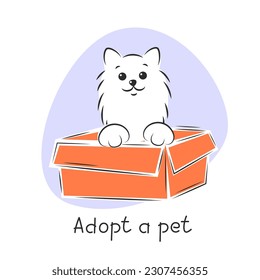 Pet adoption. Cute cat in a box. Shelter banner. Vector illustration