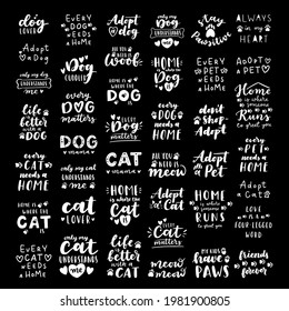 Pet adoption phrase black and white poster. Inspirational quotes about domestical pets adoption. Hand written phrases for poster, cat and dog adoption lettering. Adopt a pet.
