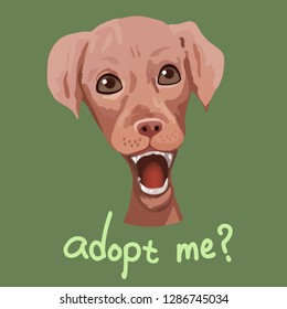 Pet adoption poster.The dog is surprised that someone wants to adopt him. eps 10