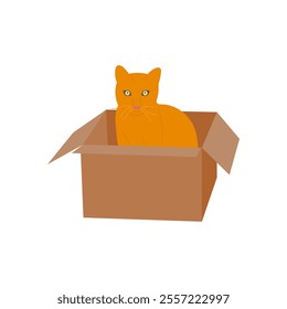 Pet Adoption, Veterinary Flat Vector Illustration