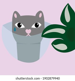 Pet after visiting the veterinarian. A cat in a protective veterinary cone. Animal care after surgeries and medical interventions. The gray cat is sad because he cannot eat the plant