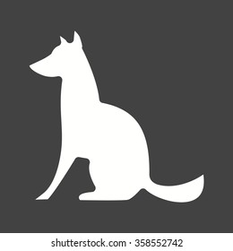 Pet , Animal