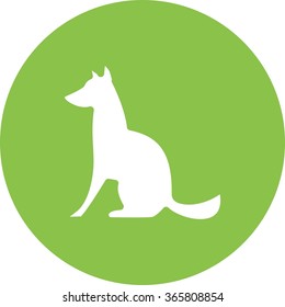 Pet , Animal