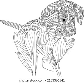 Pet animal cute dog with flower zentangle style coloring page outline illustration