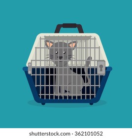 Pet animal design